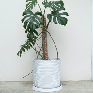 Maceta Artisan - BLANCA, Ø35-A35