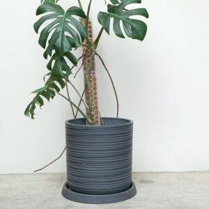 Maceta Artisan - ONYX, Ø35-A35