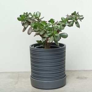 Maceta Artisan - ONYX, Ø25-A25