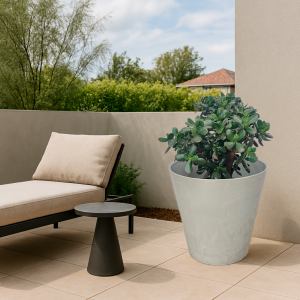 Maceta Claire NW - Image 2