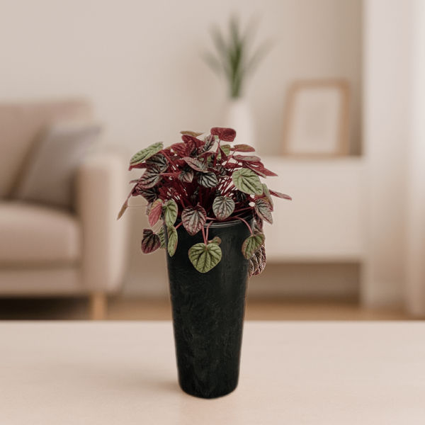 Maceta Elance - Image 2