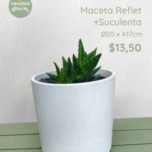 Reflet BLA 20x17+ Suculenta