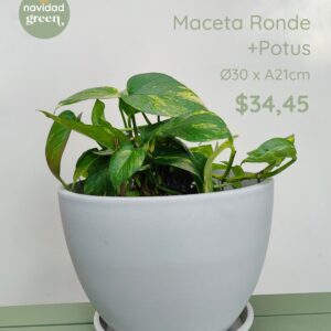 Ronde BLA 30x21 + potus