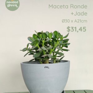 Ronde BLA 30x21 + jade