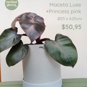 Luxe BLA 25x25 + Princess Pink