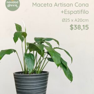 Cona NEG 25x20 + espatifilo